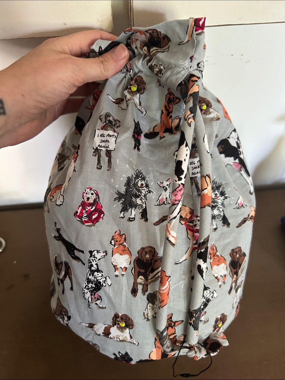 Vera Bradley Best In Show Puppy Dog Printed Lined Ditty Bag - Picture 2 of 5